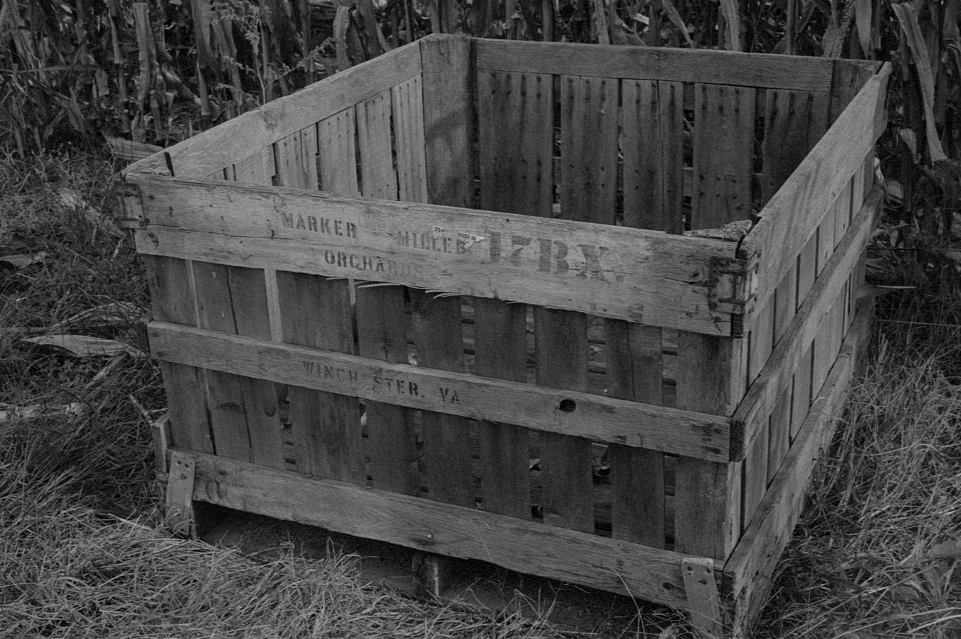 Apple pallet