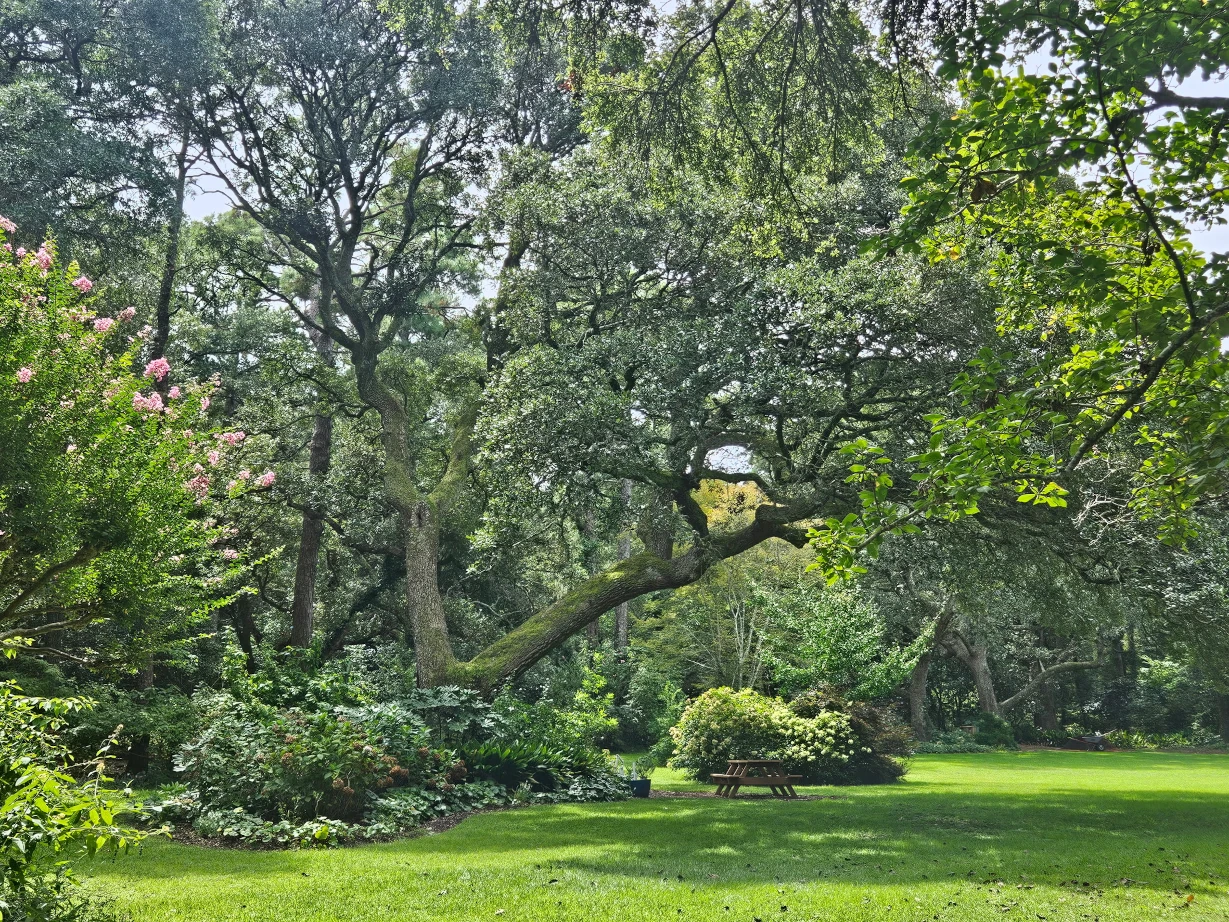 Shot of the Elizabeth Gardens taken by my older sister.